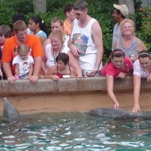 Meet your Posher, Bob